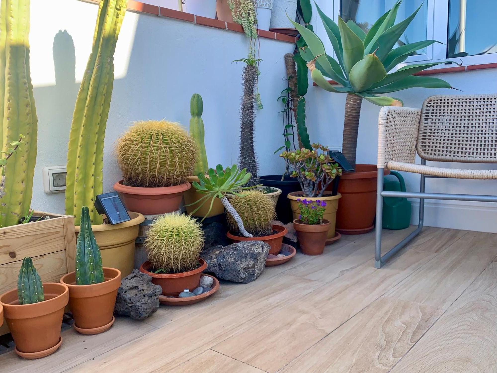 산타크루스데 테네리페 Atico Con Terraza, Vistas Panoramicas Y Parking 아파트 외부 사진